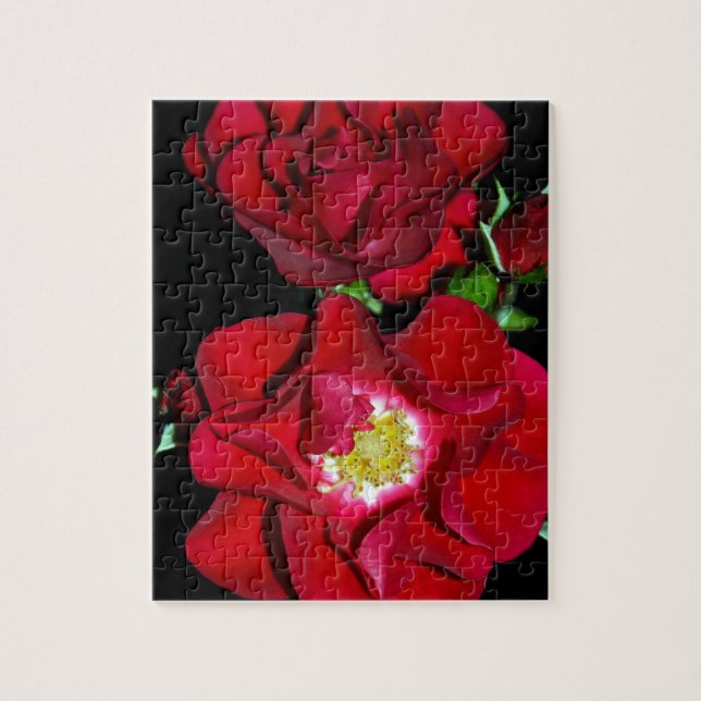 Rote Rose auf black.jpg Puzzle (Vertikal)