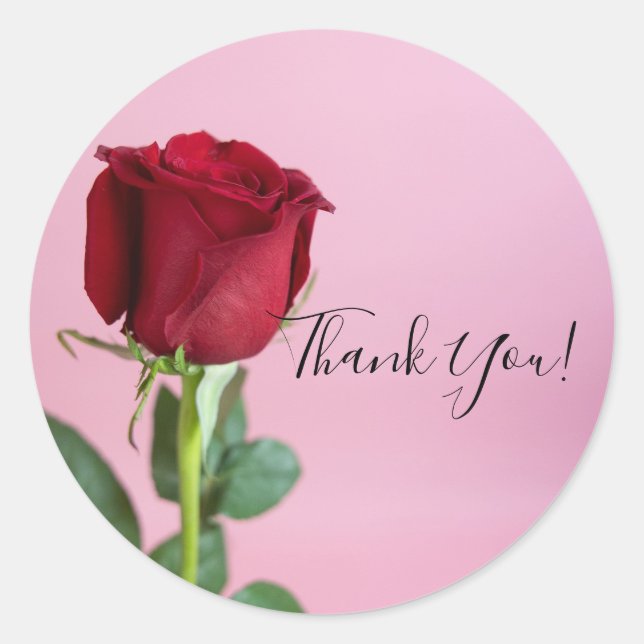 Rote Rose auf Rosa Elegante Romantische Runder Aufkleber (Vorderseite)
