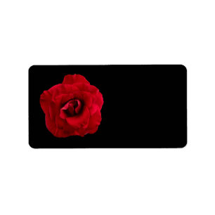 Rote Rose auf Schwarzem - Blumen-Rosen besonders Adressaufkleber
