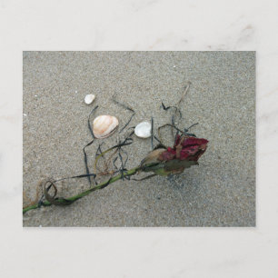 rote Rose auf See verloren Postkarte