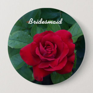 Rote Rose aus der Nähe Button