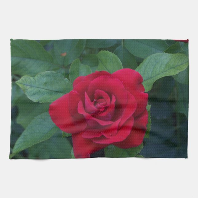 Rote Rose aus der Nähe Geschirrtuch (Horizontal)