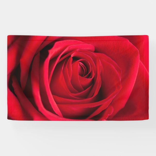 Rote Rose Banner (Horizontal)