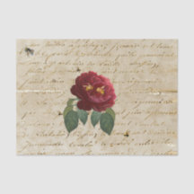 Rote Rose Bienen