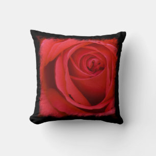 Rote Rose Black Border Kissen