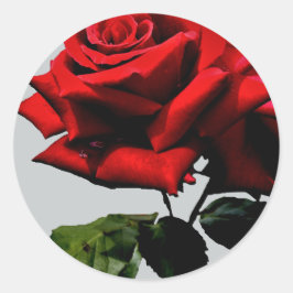 Rote Rose Blossom Blume Hochzeit Geburtstag Natur Runder Aufkleber