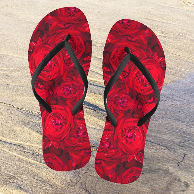 Rote Rose blüht mit Abtropfen - Fotografie Flip Flops (Von Creator hochgeladen)