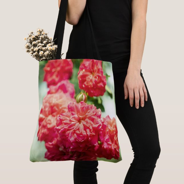 Rote Rose Blume (Von Nahem)