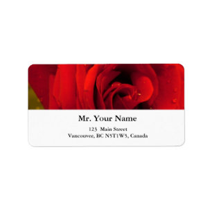 rote Rose Blume Adressaufkleber