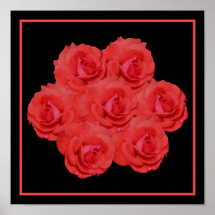 Rote Rose Blume Bouquet Poster