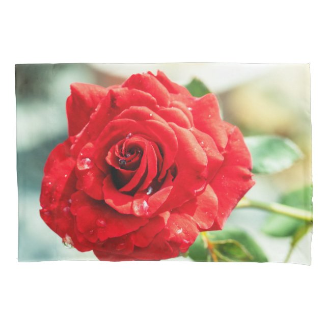 Rote Rose Blume Kissenbezug (Vorderseite)