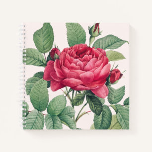 Rote Rose Blume mit grünen Blätter Notizbuch