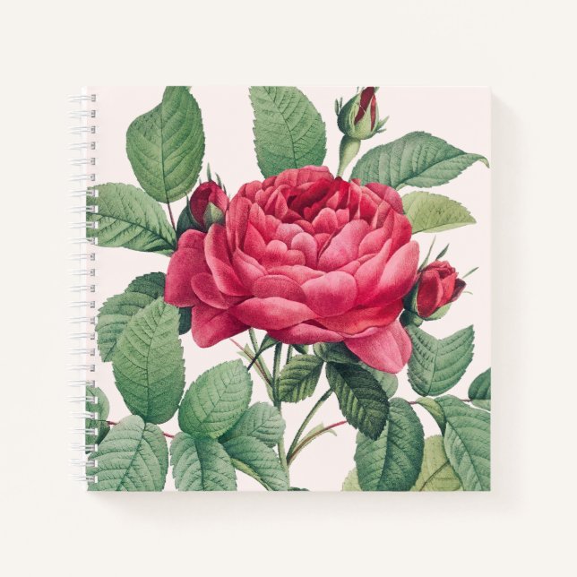 Rote Rose Blume mit grünen Blätter Notizbuch (Vorderseite)