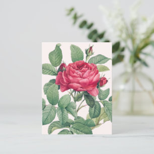 Rote Rose Blume mit grünen Blätter Postkarte
