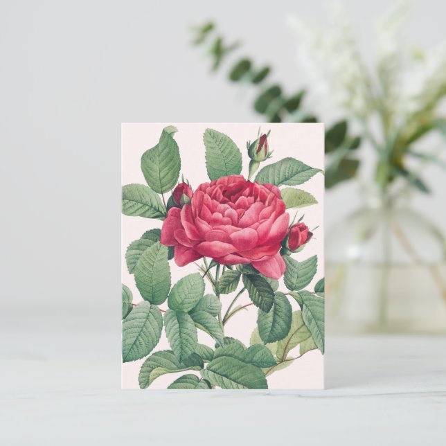 Rote Rose Blume mit grünen Blätter Postkarte (Stehend Vorderseite)