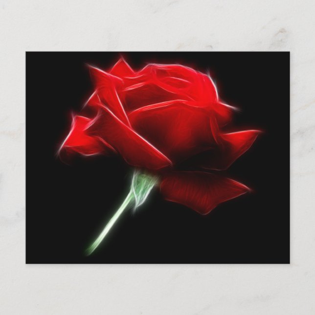 Rote Rose Blume Pflanze (Vorderseite)