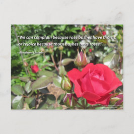 Rote Rose Blume Postkarte mit Danksagenszitat