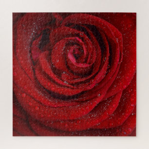 Rote Rose Blume Puzzle
