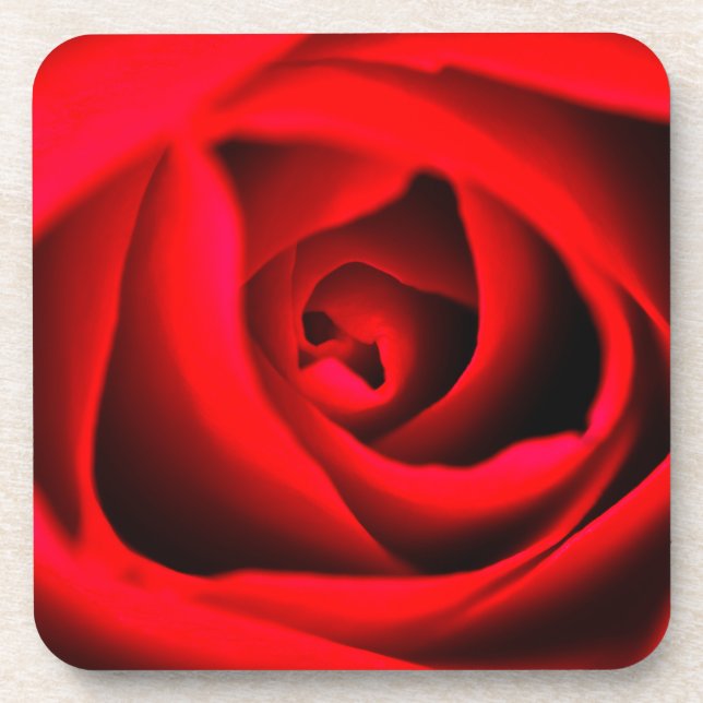 Rote Rose Blume Untersetzer (Vorderseite)