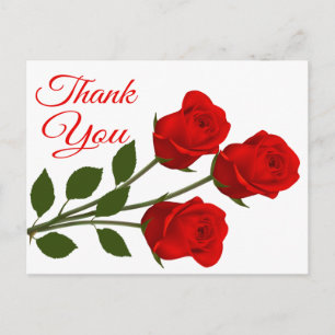 Rote Rose Blume Vielen Dank Postkarte