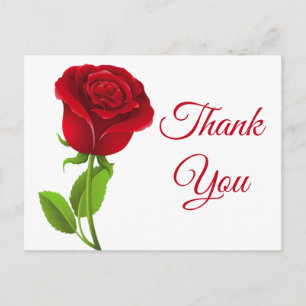 Rote Rose Blume Vielen Dank Postkarte