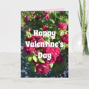 Rote Rose Blume Vintage Rose Karte