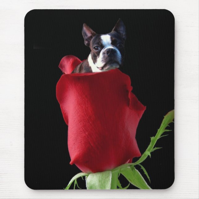 Rote Rose Boston Terrier Mousepad (Vorne)