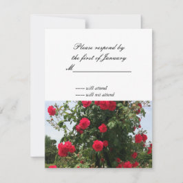 Rote Rose Bouquet UAWG Repcard RSVP Karte
