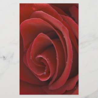 Rote Rose Briefpapier