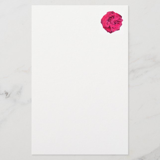 Rote Rose Briefpapier (Vorderseite)