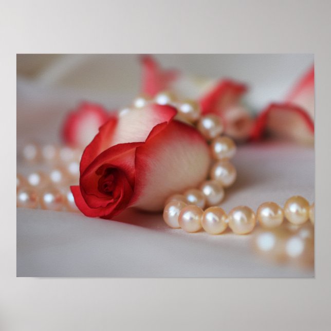 Rote Rose Bud and Pearls Poster (Vorne)