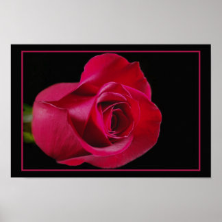 Rote Rose Bud Print Poster