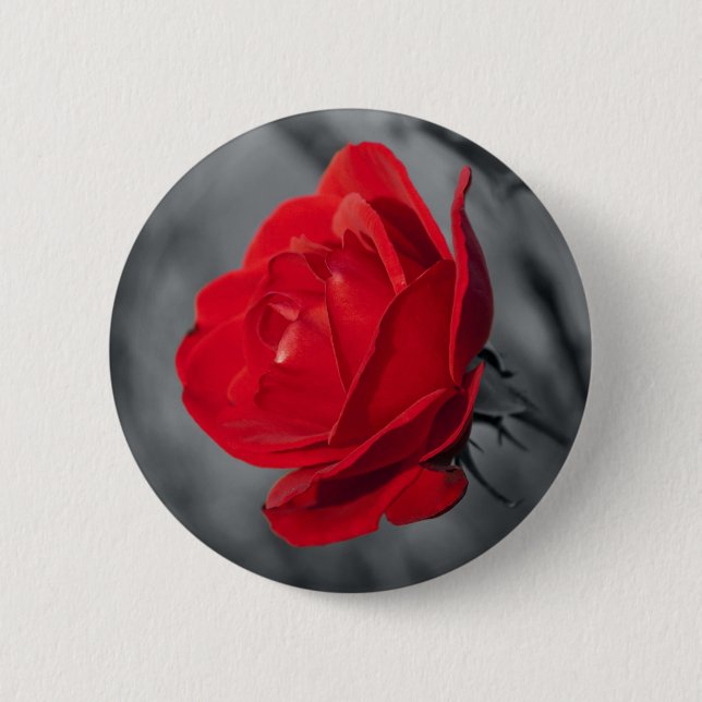 Rote Rose Button (Vorderseite)
