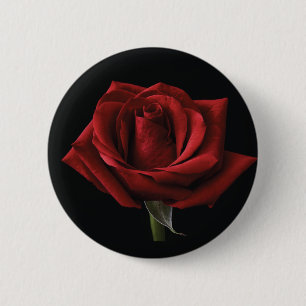 Rote Rose Button