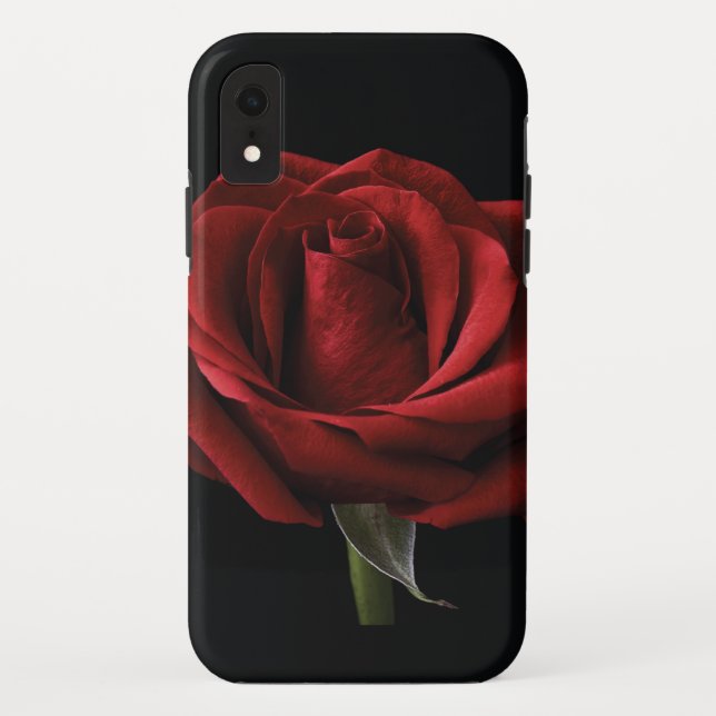 Rote Rose Case-Mate iPhone Hülle (Rückseite)