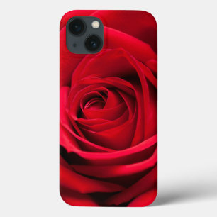 Rote Rose Case-Mate iPhone Hülle