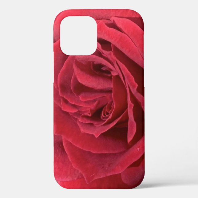 Rote Rose Case-Mate iPhone Hülle (Rückseite)