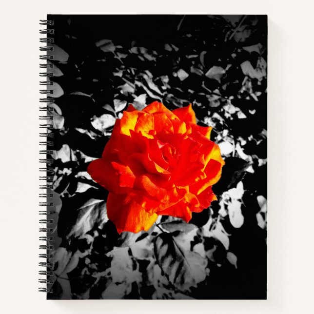 Rote Rose Custom 8.5" x 11" Spiral Notebook Notizbuch (Vorderseite)