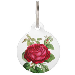 Rote Rose der Haustiere Blume Haustiermarke