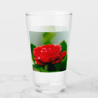 Rote Rose der Leidenschaft mit Taubstropfen Glas