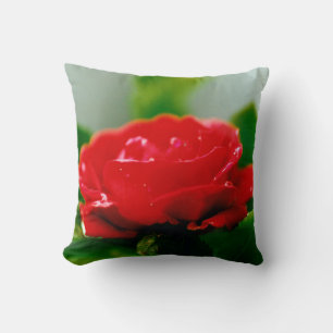 Rote Rose der Leidenschaft mit Taubstropfen Kissen
