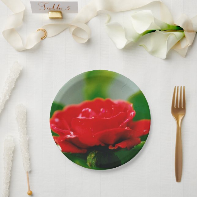 Rote Rose der Leidenschaft mit Taubstropfen Pappteller (Hochzeit)