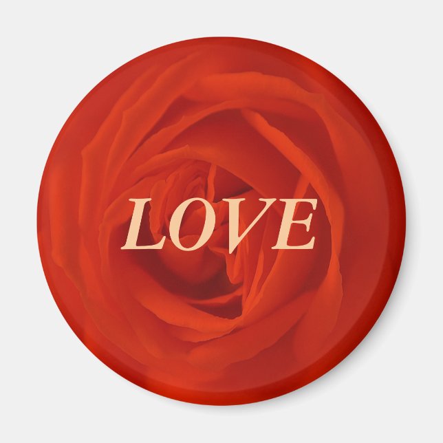 Rote Rose der Liebe Magnet (Vorne)