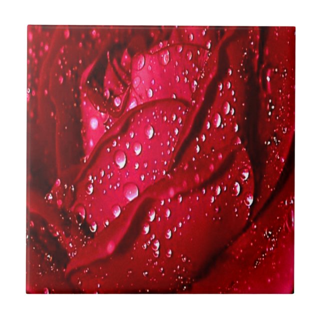 Rote Rose des Single im Regen Fliese (Vorderseite)