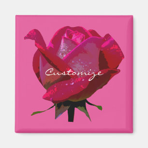 rote Rose des Single Magnet