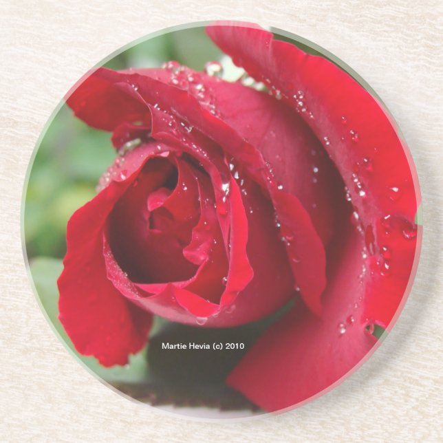 Rote Rose Dew - Untersetzer (Vorne)