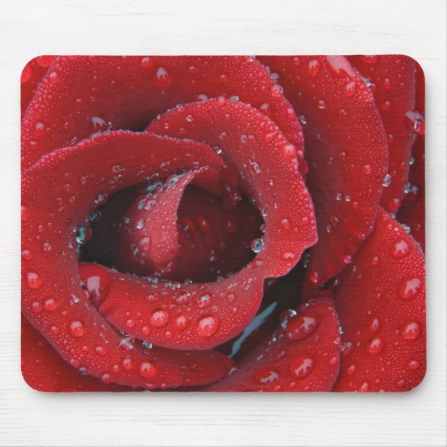 rote Rose, die mit einem Tief bedeckt ist und Grab Mousepad (Vorne)