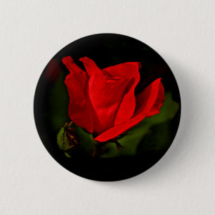 Rote Rose - dunkle Leidenschaft Button