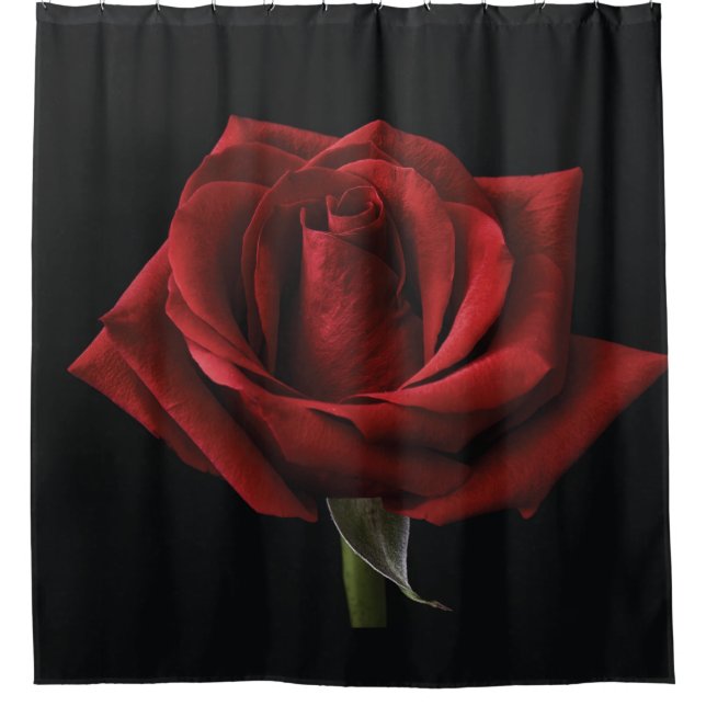 Rote Rose Duschvorhang (Vorderseite)