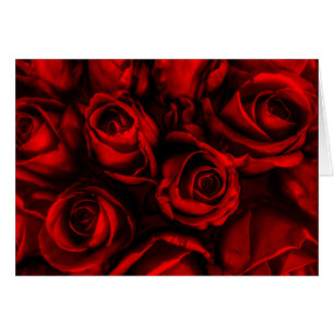 Rote Rose Elegance